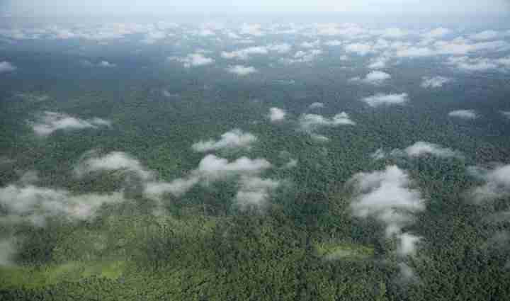 Aplicaciones de la teledeteccion en la desertificacion