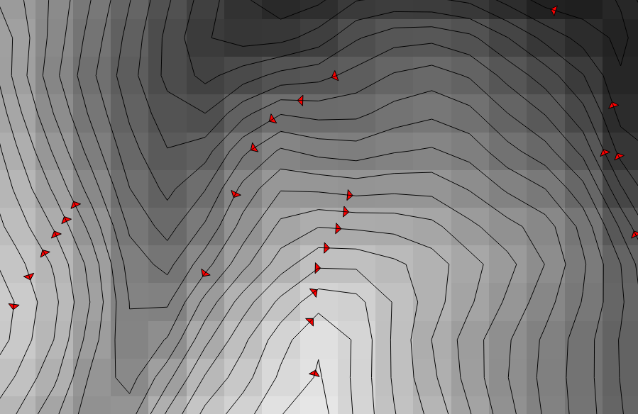 Grass contours