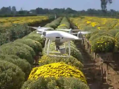 Conteo de Plantas y Árboles con Imágenes de Drones Usando Datos RGB y Multiespectrales